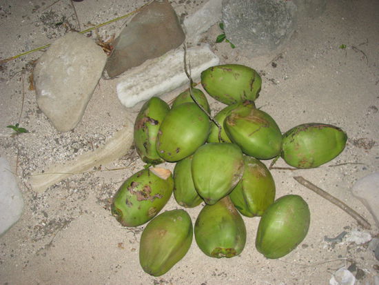 Unser Kokosnusshaufen, nachdem wir nach einer Kokosnuss gefragt hatten.