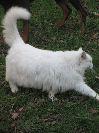 Smudge gab es auch noch.