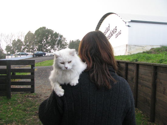 Sie war natürlich immer noch die Chefin und ließ sich überall hin tragen.
