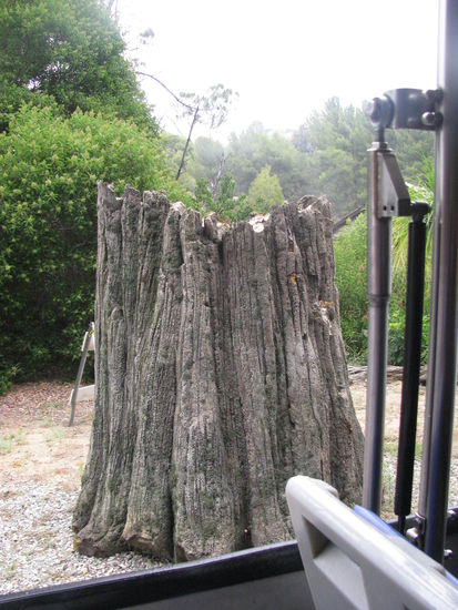 Dieser Baumstamm ist nicht echt.