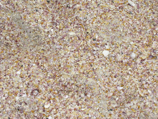 Sehr schoener Muschelstrand...