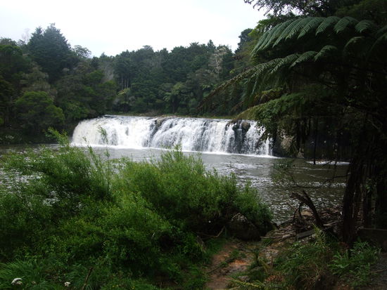 Von weitem konnte man ihn schon sehen und hoeren.