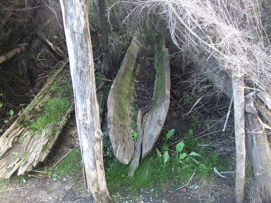 mit ziemlich alten Kanus.