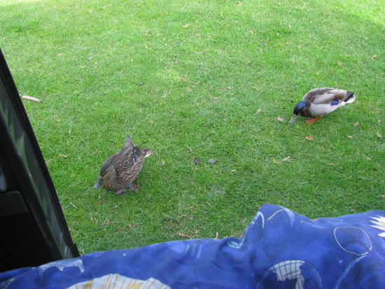 Davon wurden wir wach gemacht.