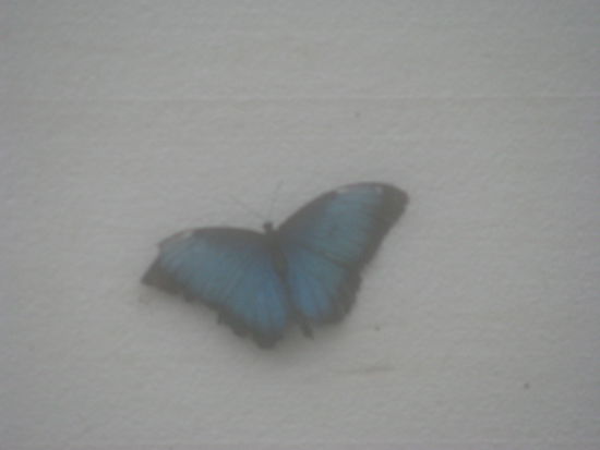 Leider das Objektiv zu beschlagen.