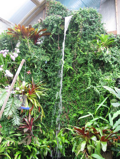 Die Schmetterlinge hatten sogar einen eigenen Wasserfall.