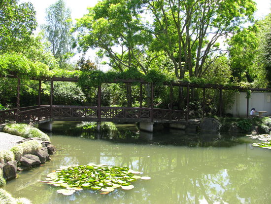 Immer noch chinesich.