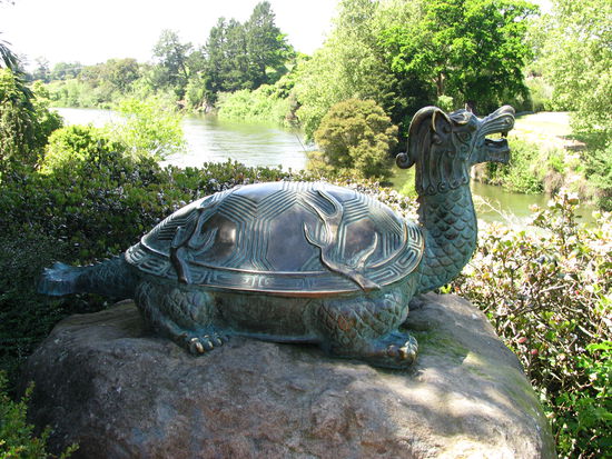 Drachen-Schildkroete.