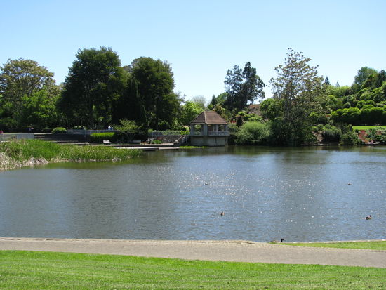 Und der Schildkroetenteich. Leider keine schildkroeten gesehen.