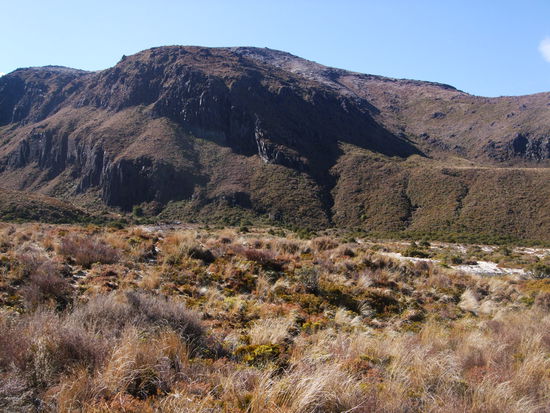 Kaum Vegetation, wegen der ganzen aktiven Vulkane.