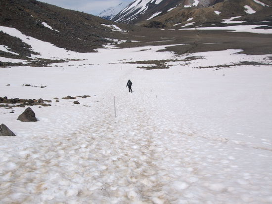 Und Robin im ewigen Eis.