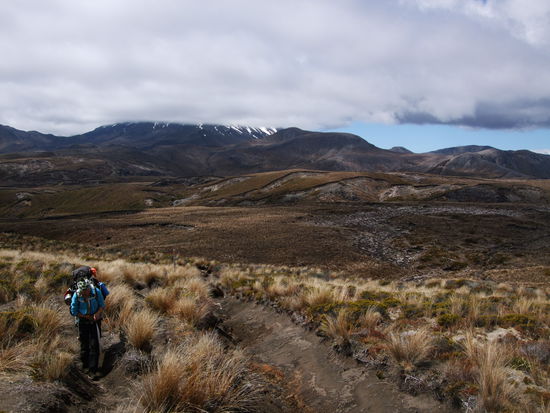 Mitten durch's Nirgendwo.