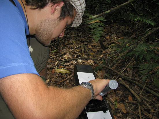 Robin die Fallen am präparieren.