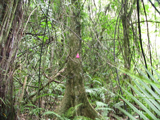 Durch diese Pfeile blieben wir auf dem richtigen Weg.