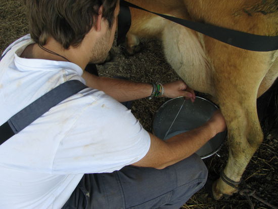 Langsam wird der Eimer voll.