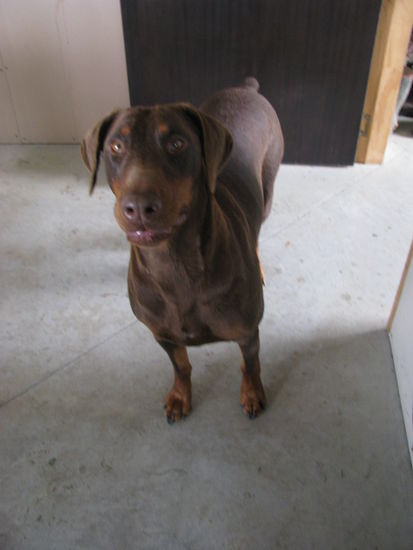 Und ihr Schwesterherz Shona!