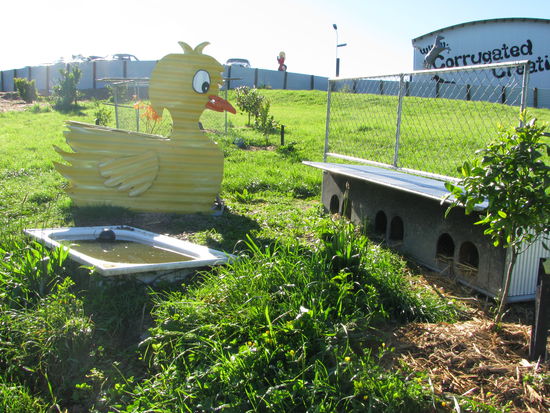 Der Ententuempel draussen.