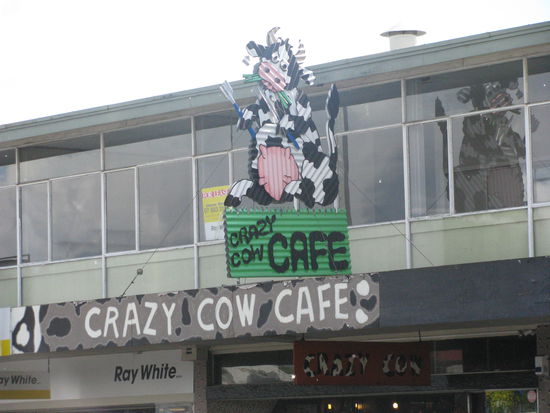 Auf dem Weg nach Wellington noch eins von Stevens Werken gefunden. 