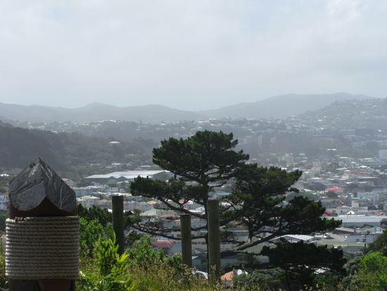 Der Ausblick auf Wellington.