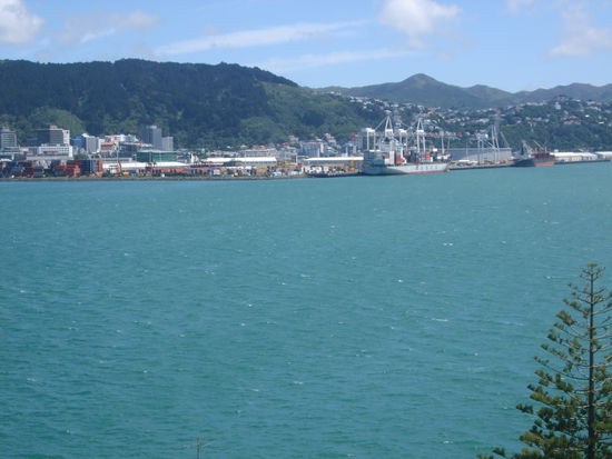 Der Hafen Wellingtons.
