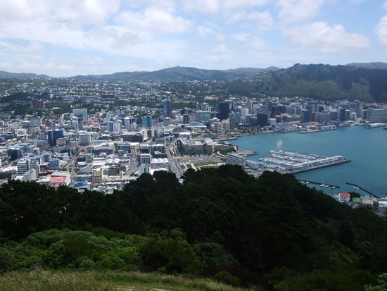 Wellington.