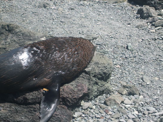 Hat sich auch nicht von Robin stören gelassen bei näherer Betrachtung.