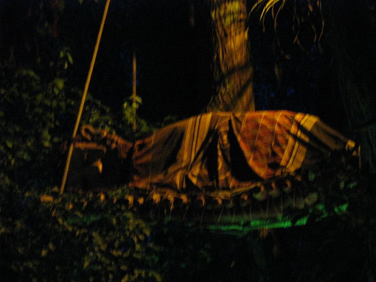 Ein schlafender Riese im Baum, auch ein wenig zu dunkel.