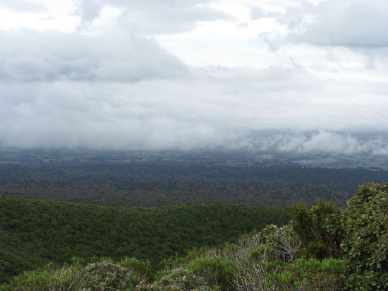Vor allem weite Aussicht.