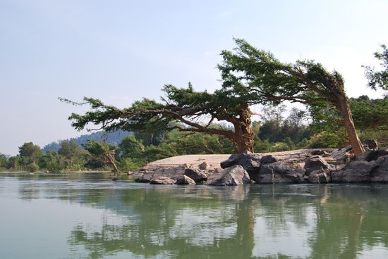 Anhand der Baeume kann man sich vorstellen, wie stark der Strom bei Hochwasser ist!