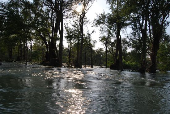 Sowas kennt man normal nur aus Filmen...