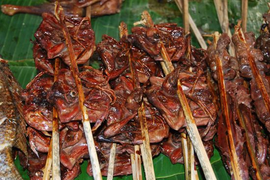 wir denken so was wie Wachteln, incl. Kopf mit Schnabel und Fuessen...