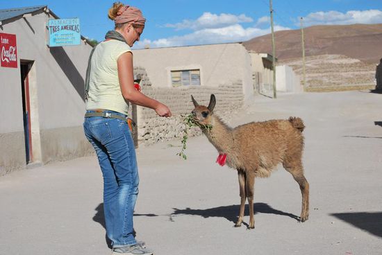 wo hat sie das denn aufgetrieben???? es war verloren.....