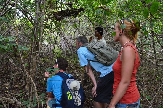 auf der Suche nach den Drachen!