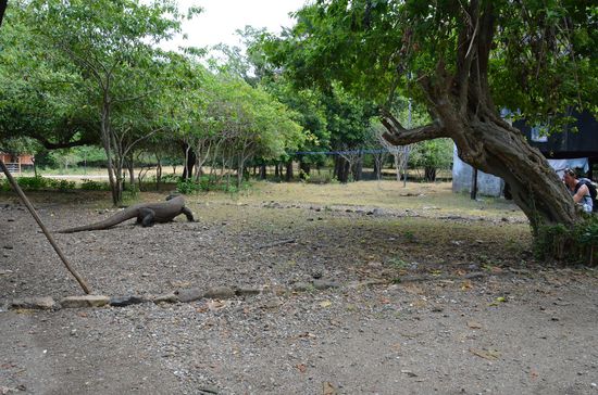 ganz schön groß, gell??