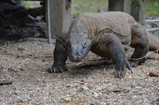 ich glaub der will zu mir.....