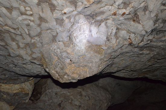 das sieht aus wie ne Schildkröte, also jetzt vlt nicht auf dem Bild....