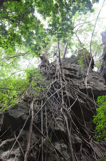 so, wie kommt der Markus da jetzt hoch??
