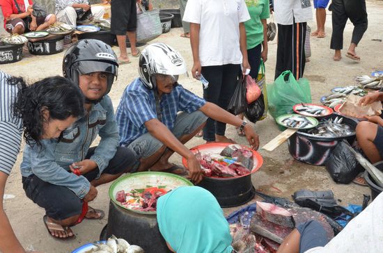 wie se mit Ihren Helmen auf dem Kopf verhandeln 