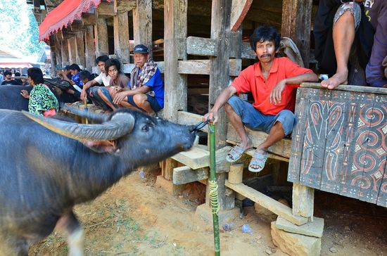 warten auf die Geschenk-Übergabe
