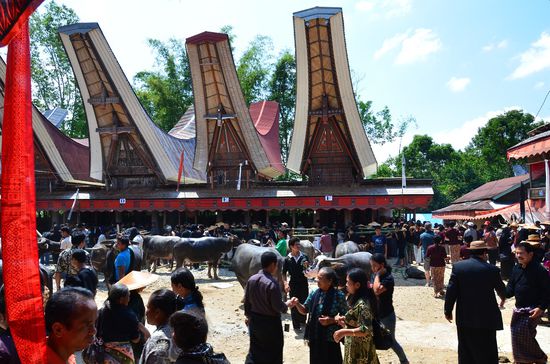 neue Gäste sind eingetroffen.