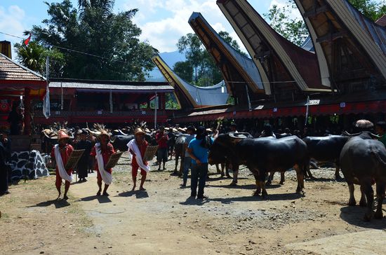 In der Mitte finden sich die Gaben der Gäste wieder, die gerade drum herum laufen