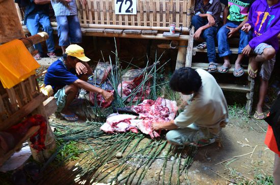 direkt hinter uns, als wir gegessen haben, wurde die nächste Sau zerlegt.