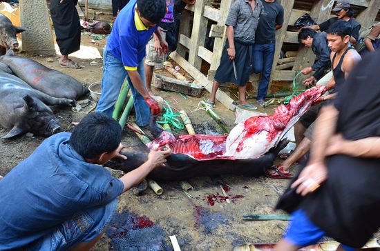 hinten im "Schlachthof"....