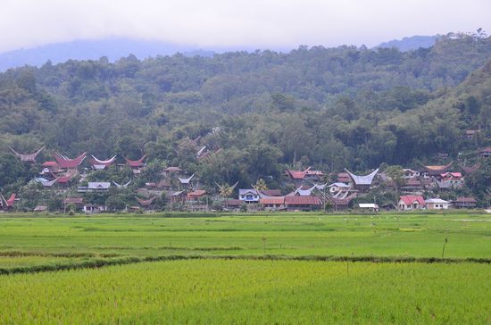 Blick über ein Dorf mit traditionellen Toraja Häusern