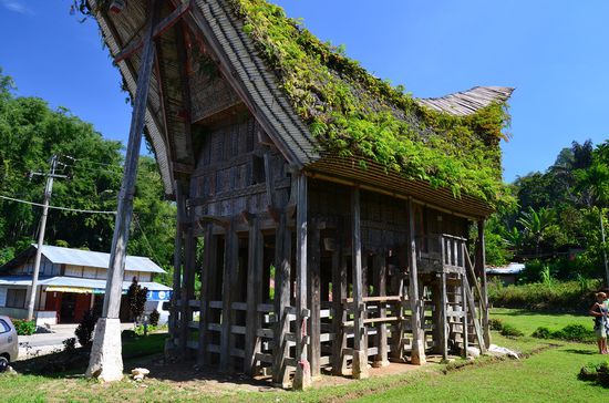 ein traditionelles Toraja Haus