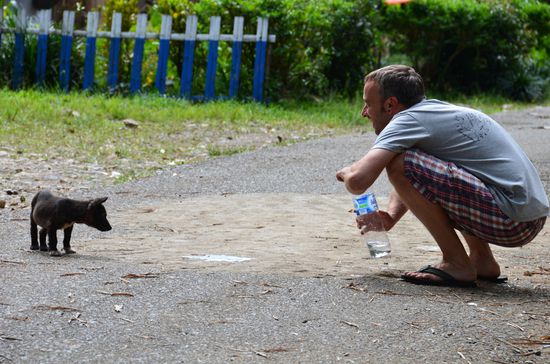 nachdem der Hund bezwungen war, konnten wir zu den Natural-Swimmingpools 