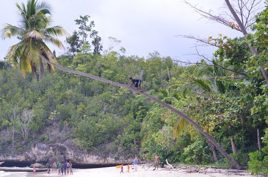 Bintang Tour! Twelop beim klettern 