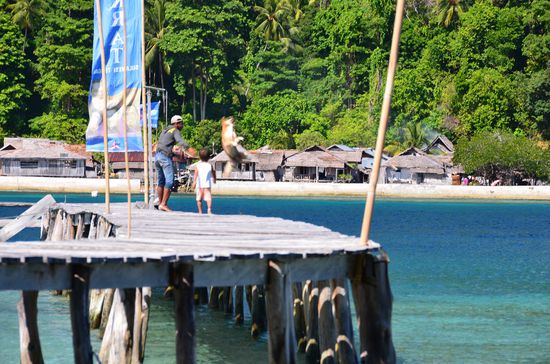 Silent lässt Mike ins Wasser fallen, Bomber war davor dran, der ist völlig ausgeflippt 