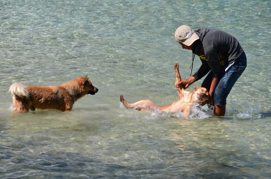 jetzt wird noch schön geschrubbt 
