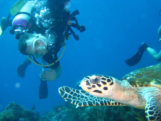 unser 1. Highlight!!! Endlich mal live beim Tauchen eine Meeresschildkröte 